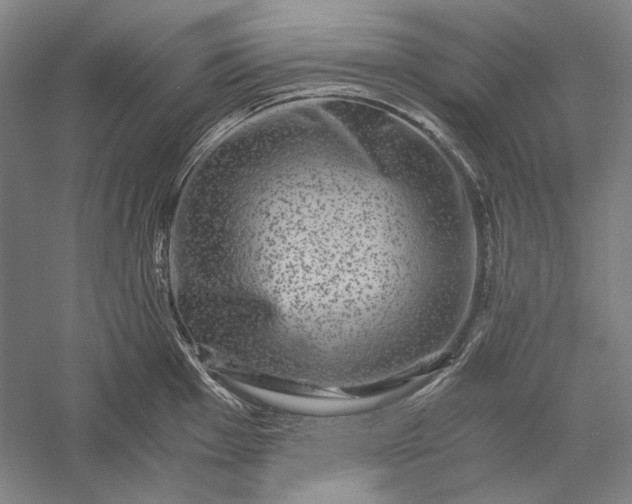 X0000056381001200509091710