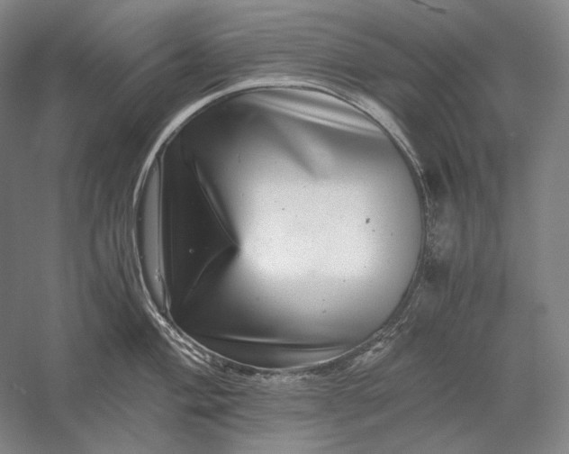 X0000056381004200509091710