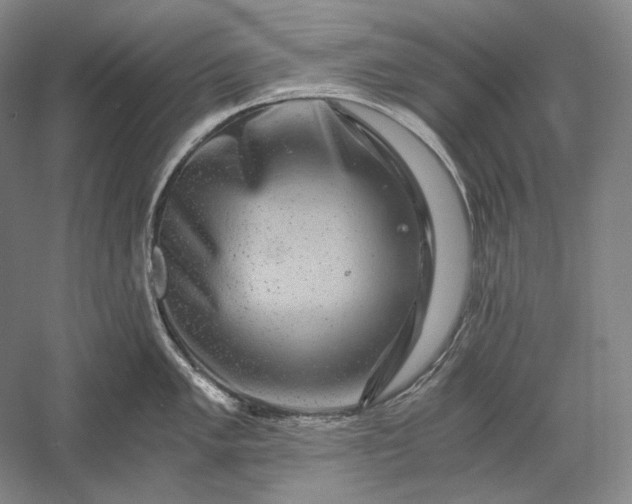 X0000056381005200509091710