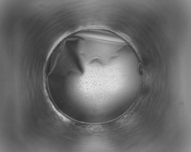 X0000056381006200509091710