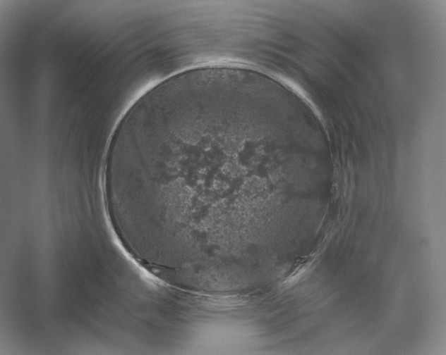 X0000056381007200509091710