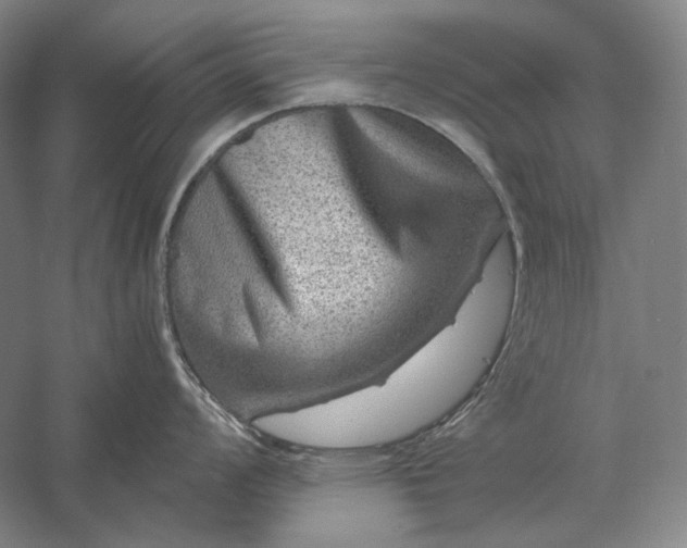 X0000056381008200509091710