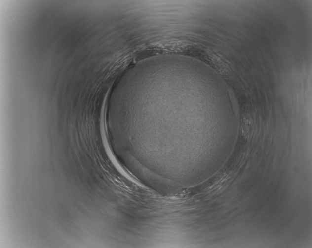 X0000056381010200509091709