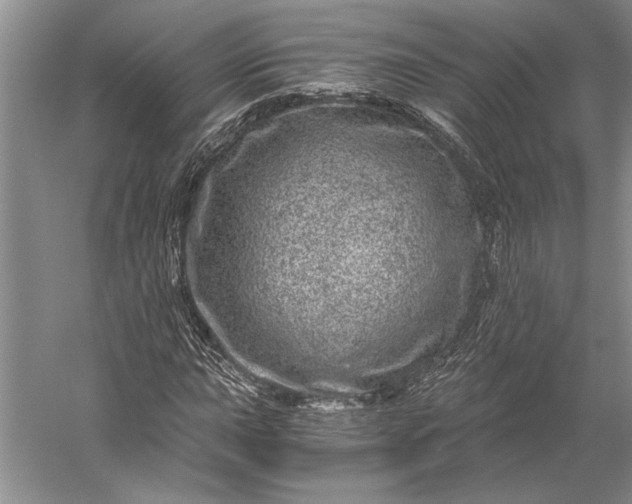 X0000056381015200509091709