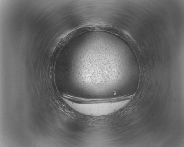 X0000056381016200509091709