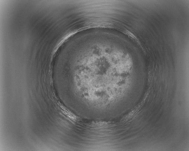 X0000056381019200509091709