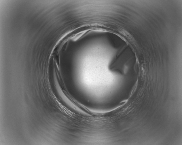 X0000056381020200509091709