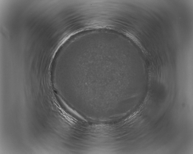 X0000056381023200509091709