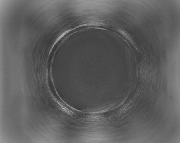 X0000056381024200509091709