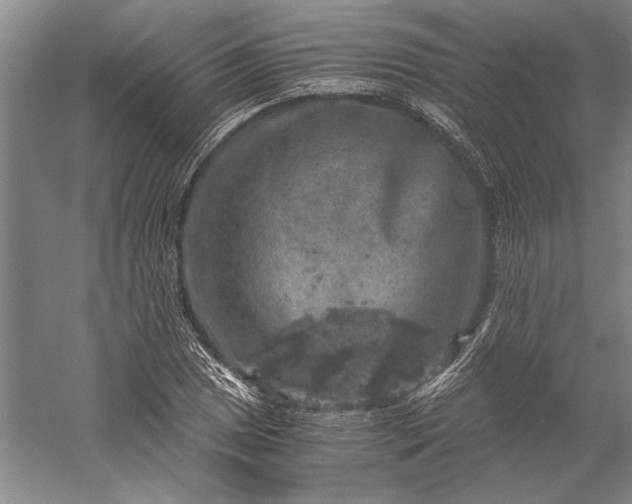 X0000056381025200509091709