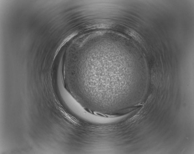 X0000056381026200509091709