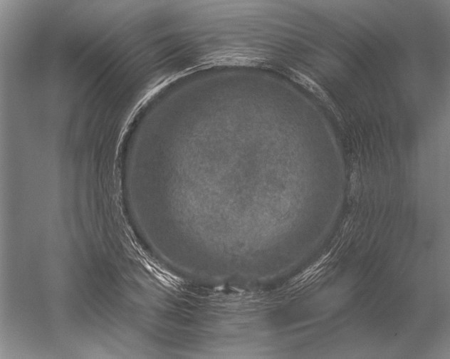 X0000056381027200509091709