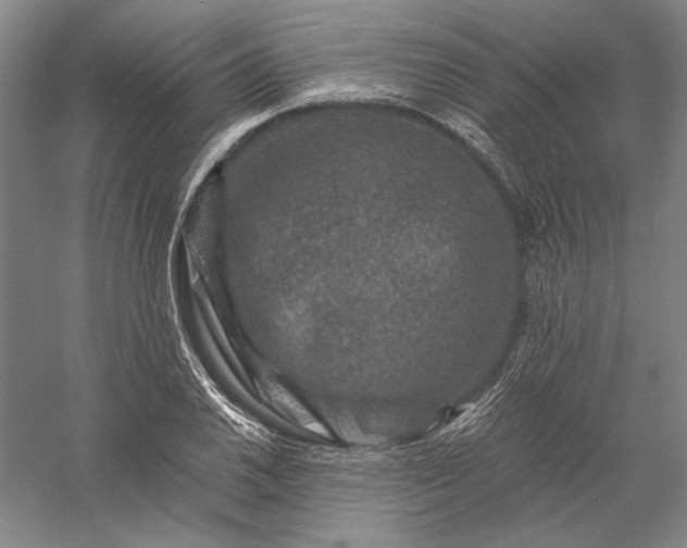 X0000056381030200509091709