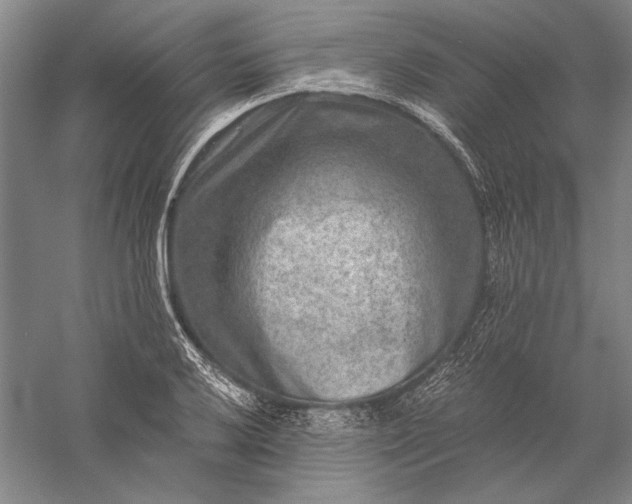 X0000056381032200509091710