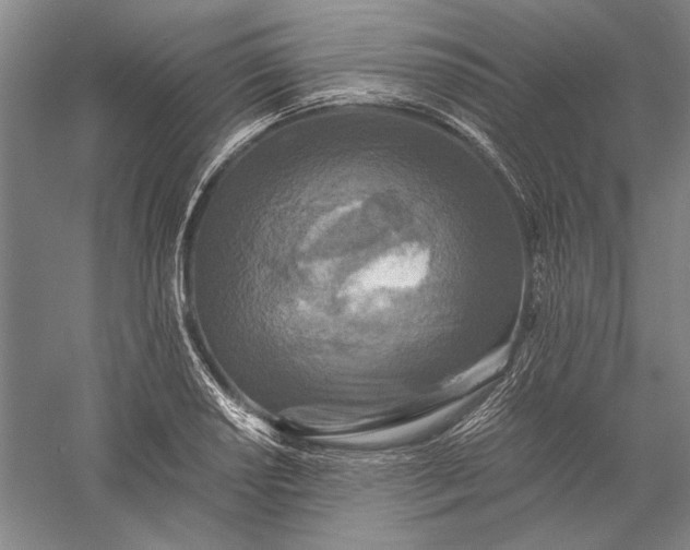 X0000056381034200509091710