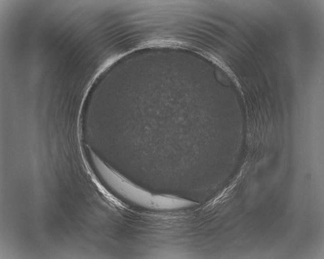 X0000056381037200509091710