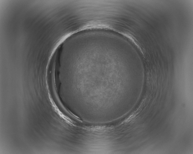 X0000056381038200509091710