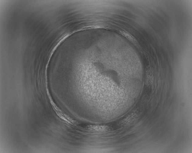 X0000056381039200509091710