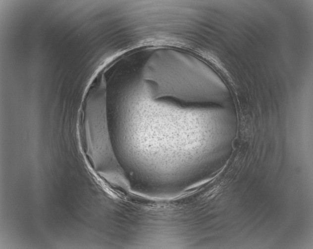 X0000056381040200509091710