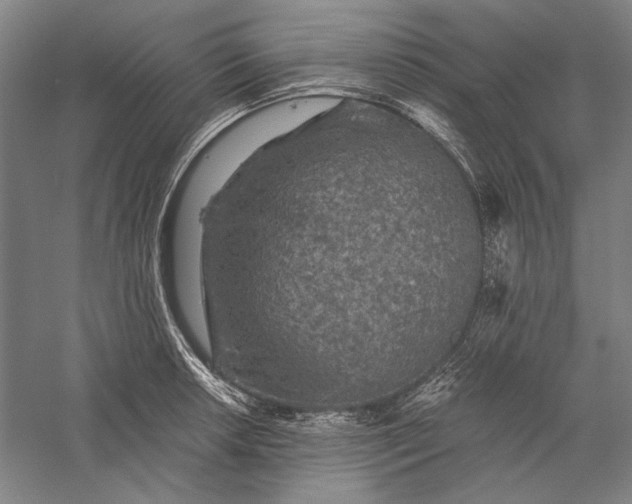 X0000056381042200509091710