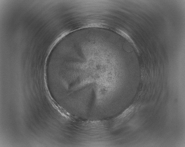 X0000056381043200509091710