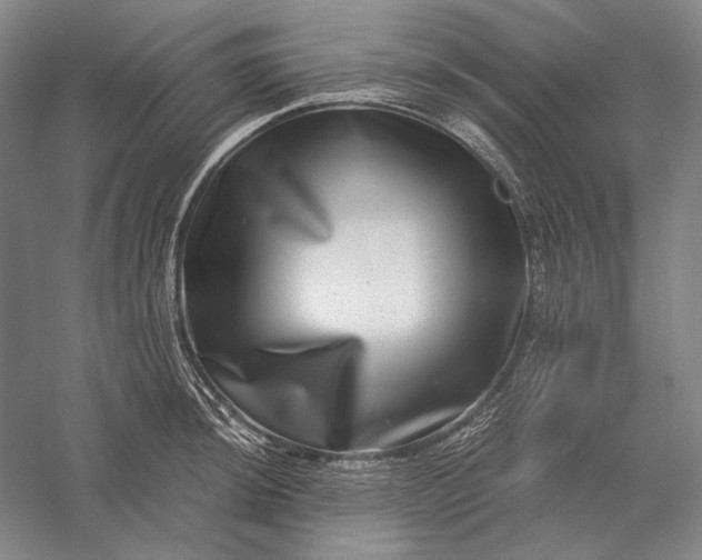 X0000056381044200509091710