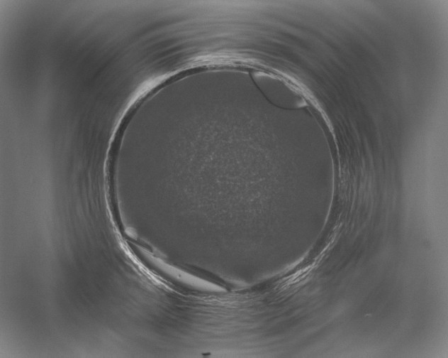 X0000056381045200509091710