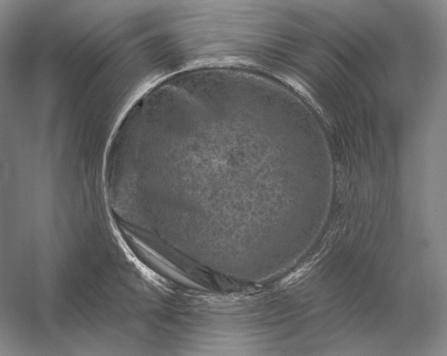 X0000056381046200509091710