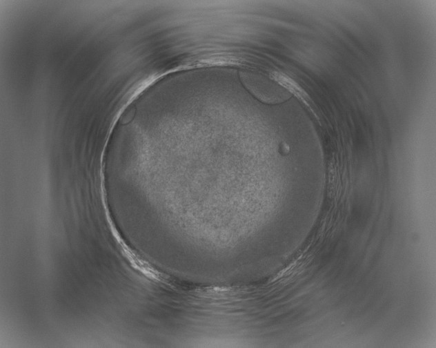 X0000056381047200509091710