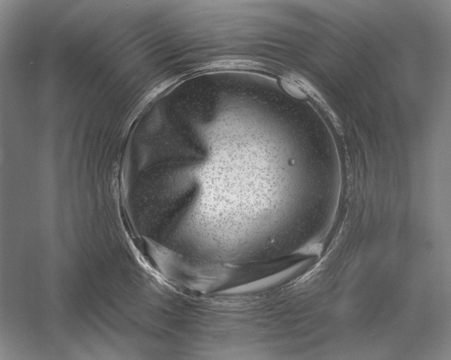 X0000056381049200509091710