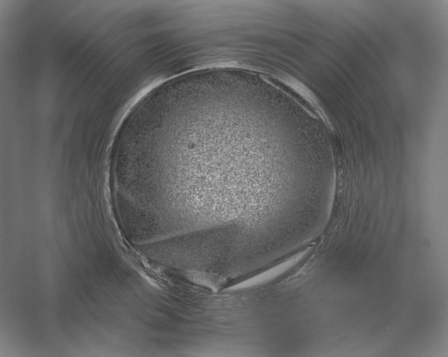 X0000056381051200509091710