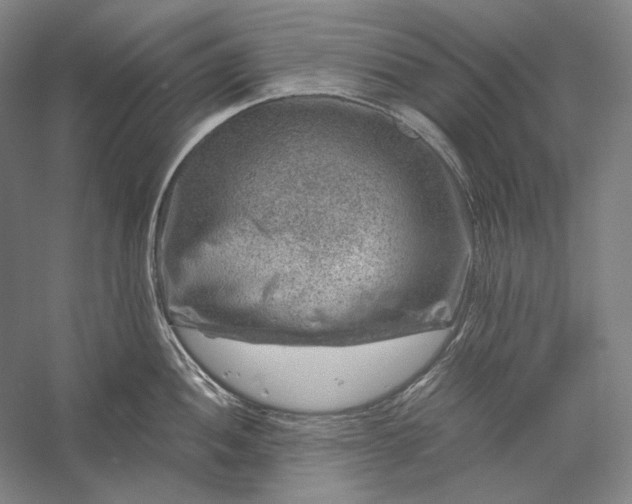 X0000056381052200509091710