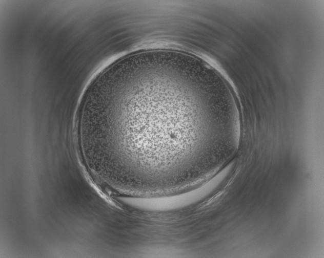 X0000056381053200509091710