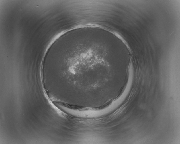 X0000056381054200509091710