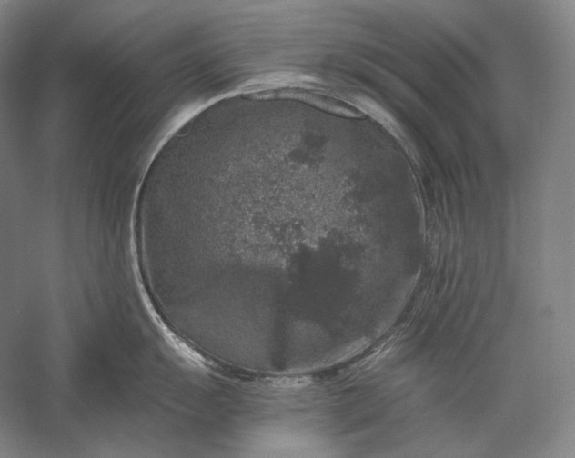 X0000056381055200509091710