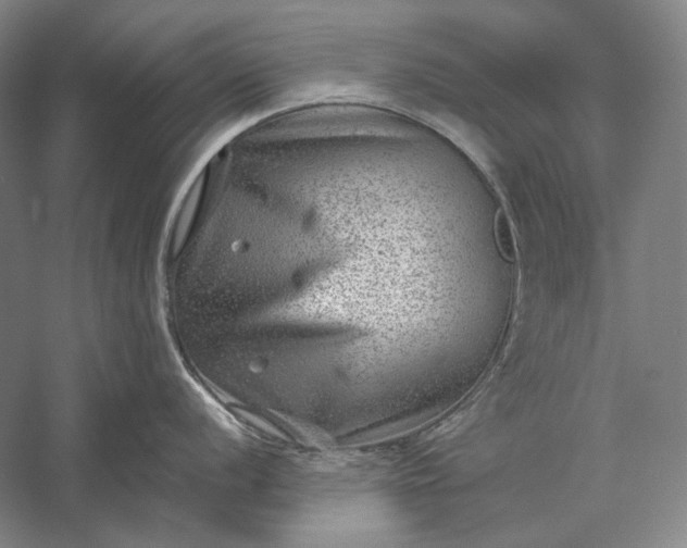 X0000056381056200509091710