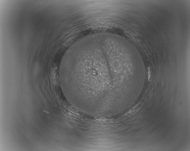 X0000056381059200509091709