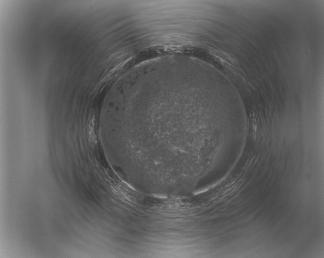 X0000056381060200509091709