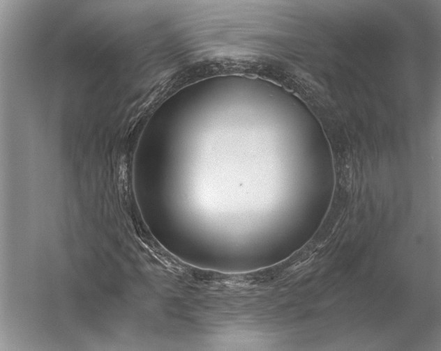 X0000056381061200509091709