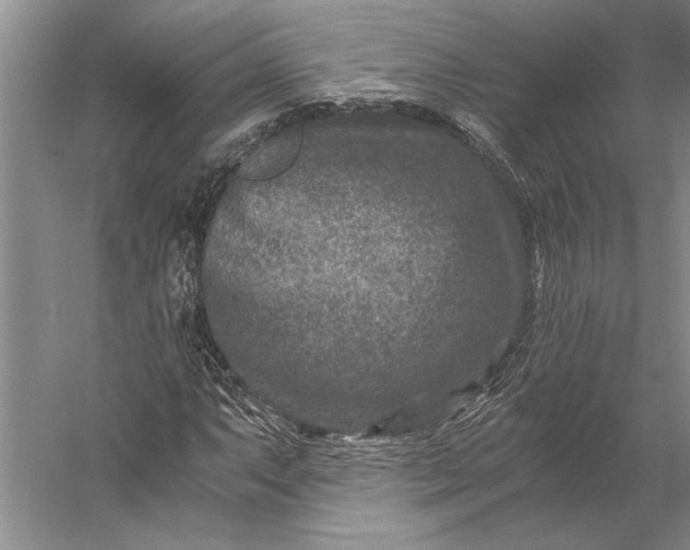 X0000056381063200509091709