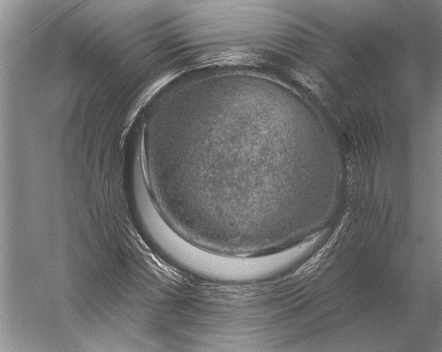 X0000056381066200509091709