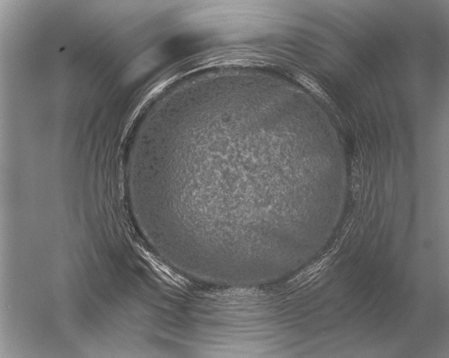 X0000056381067200509091709