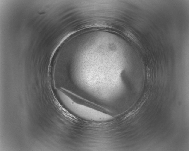 X0000056381068200509091709