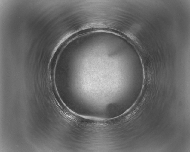 X0000056381070200509091709