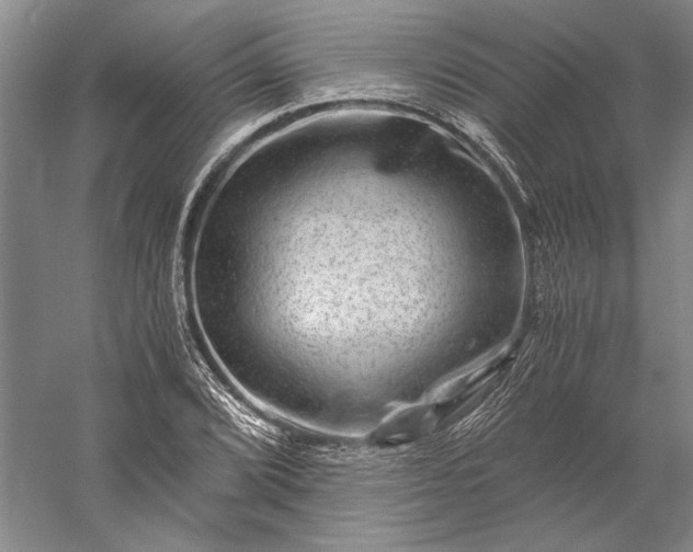 X0000056381072200509091709