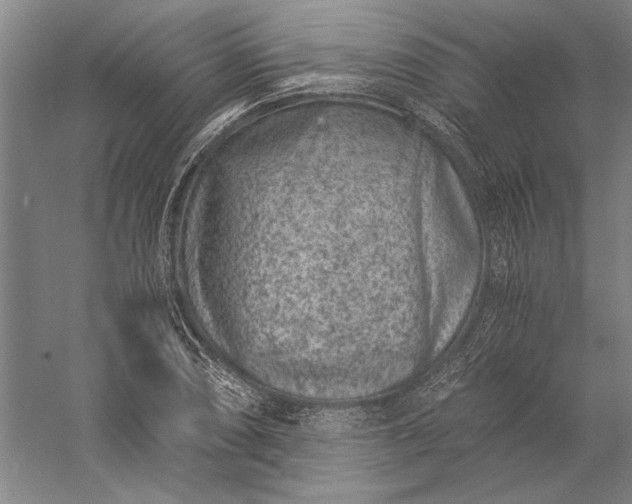 X0000056381074200509091709