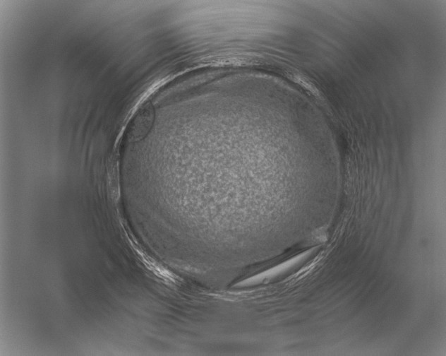 X0000056381075200509091709