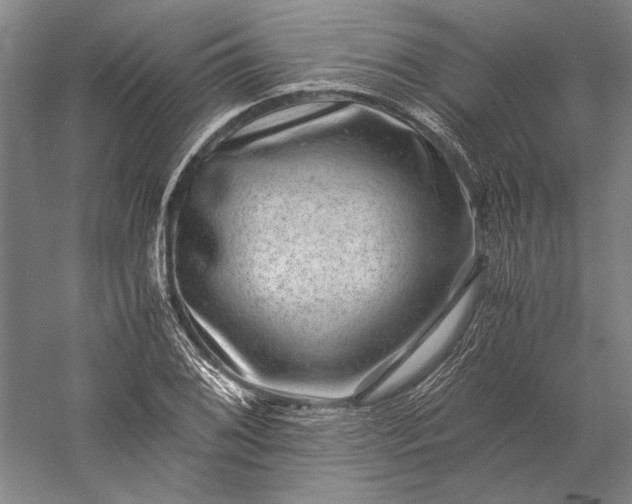 X0000056381076200509091709