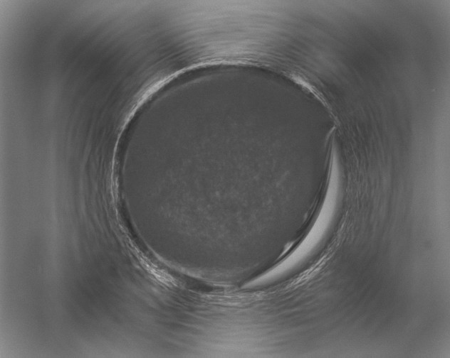 X0000056381077200509091709