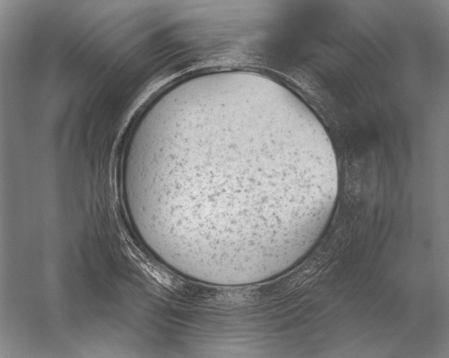 X0000056381078200509091709